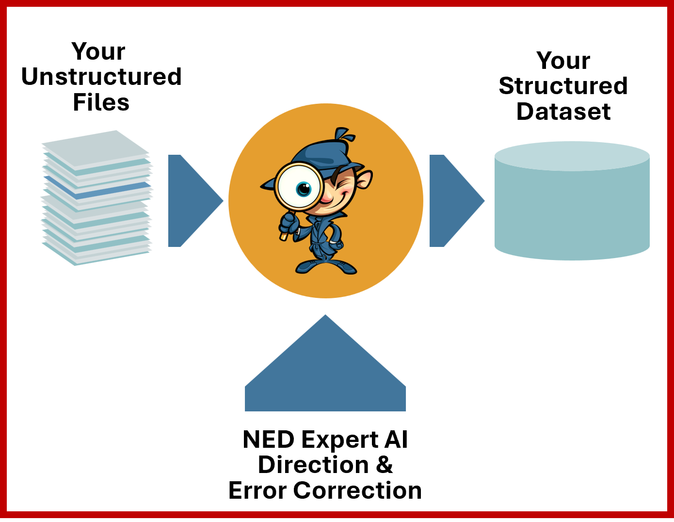 NED Security Features