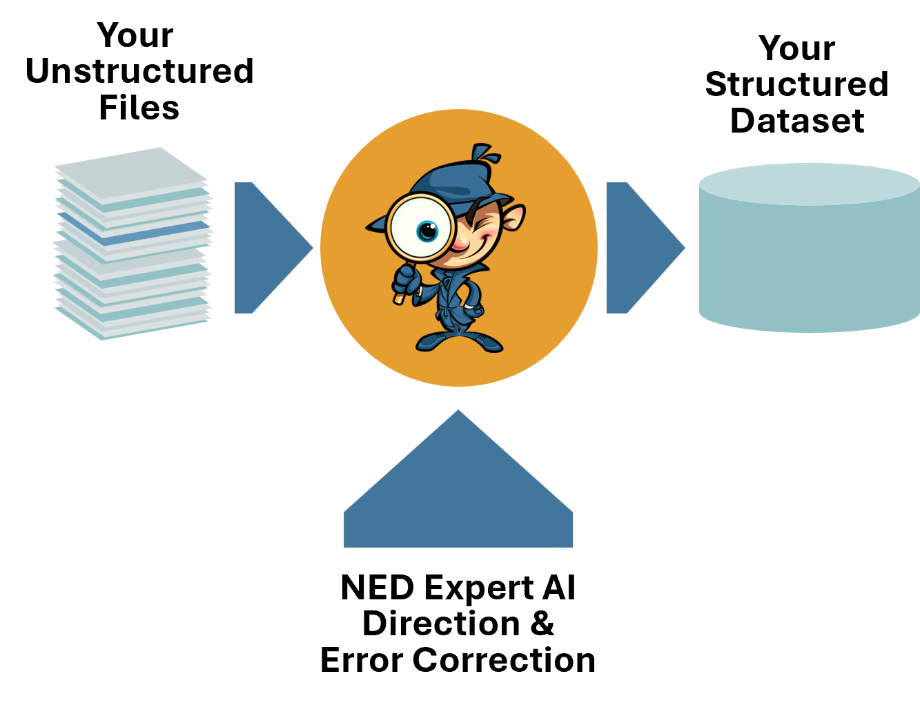 NED Service Illustration